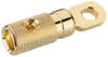 Fiche de connexion pour courants forts