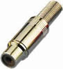 Fiches RCA