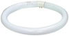Ampoule fluorescente circulaire FC 32W/133