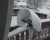 protection pour lnb