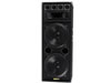 1 Double Enceinte Trois Voies 2 x 15 / 700W