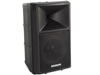 1 Enceinte Abs Professionelle Deux Voies 8 avec Amplificateur