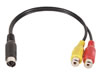 Câble d'adaptation Mini-DIN mâle vers 2 x fiche RCA femelle pour MONSB6
