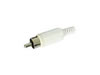 Fiche RCA Male - Blanc