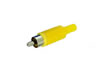 Fiche RCA Male - Jaune